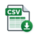 CSV file
